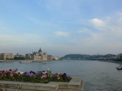 ハンガリー徒然長期出張記録 ④ハンガリーでワールドカップ観戦