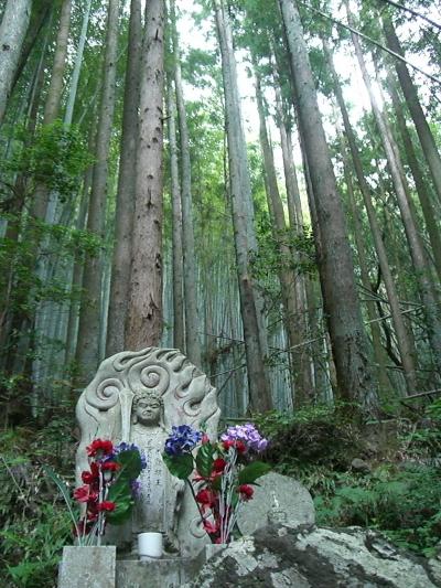 白藤の滝・宇嶺の滝