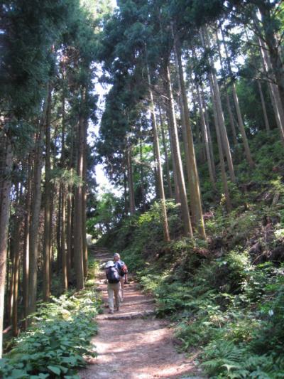 新緑の六甲山歩き