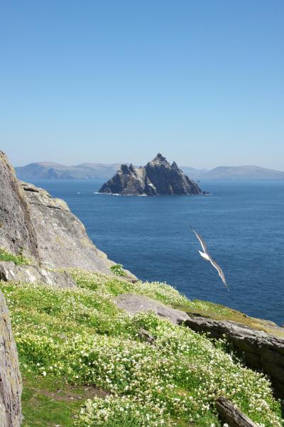 アイルランド～スケリッグ･マイケル　秘境の世界遺産 