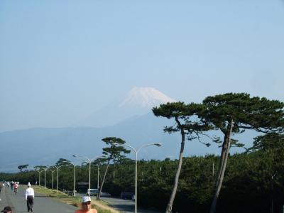 自転車でウロウロ…=富士山見ながら沼津市へ=