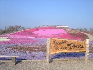 茶臼山ドライブ＆芝桜