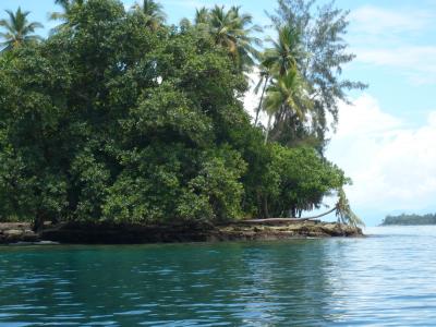 2010年4月　パプアニューギニア旅行　その２４：初ダイビング③