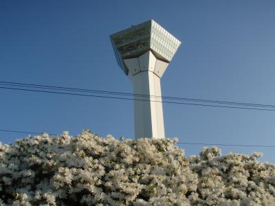 五稜郭公園のつつじと藤~2010年6月