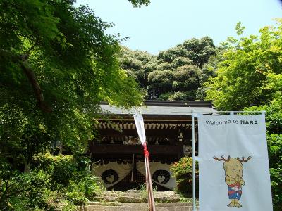 矢田丘陵の古刹！東明寺