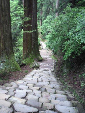 魅せられて奈良 ⑤　～ 室生寺・大野寺・長谷寺 ～