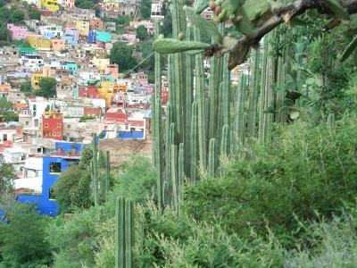 メキシコ高原の旅（6日目　カラフルな街を歩く）