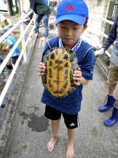 第３０回三島の川をきれいにする奉仕活動（少林寺拳法三島道場開祖デー） 自宅のテラスでＢＢＱ（バーベキュー）