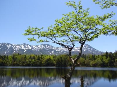 親子3代　初夏の道東旅行（後編）