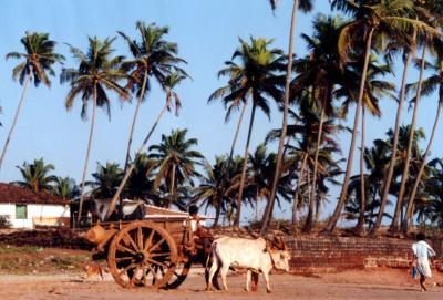 （ヒッピーの）世界3大聖地の一つ GOA（ゴア）の現在