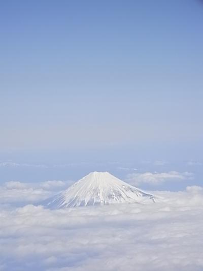 アラフォーおばさんインド一周一人旅 vol.1 (南インド編)
