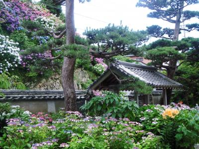 あじさい寺の大慈寺と大王崎灯台へ