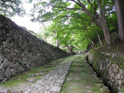 初夏の湖東三山～西明寺・金剛輪寺・百済寺～特別公開2010