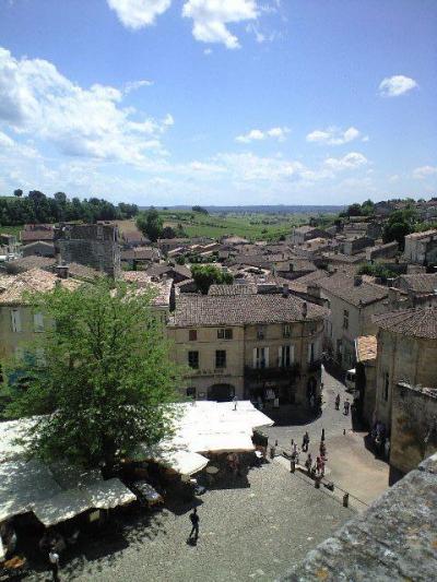 念願の★ボルドーワイナリー巡り＆パリ旅行　その１Bordeaux