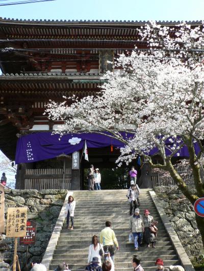 日本の旅　関西を歩く　奈良県吉野山の金峯山寺周辺  