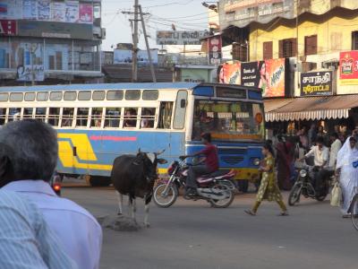 アラフォーおばさんインド一周一人旅 vol.2 (南インド編)