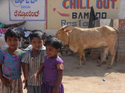 アラフォーおばさんインド一周一人旅 vol.3 (南インド編)