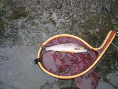 道東釣りの旅-2010-/霧多布海岸からスタート、然別湖まで(その２)