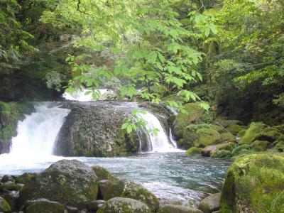 九州温泉の旅。