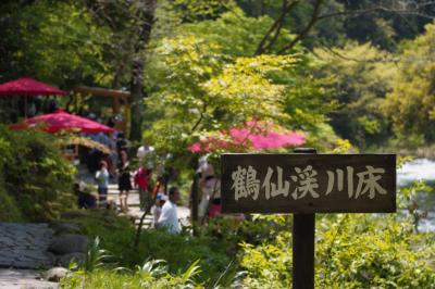 金沢・加賀のおいしいものを食べる旅（５）～新緑の鶴仙渓と山中温泉
