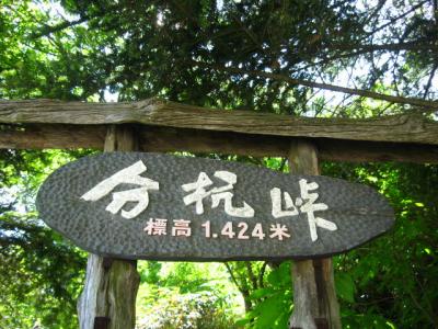 2010 * 分杭峠