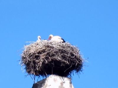 中欧周遊10日間 part8 ルスト