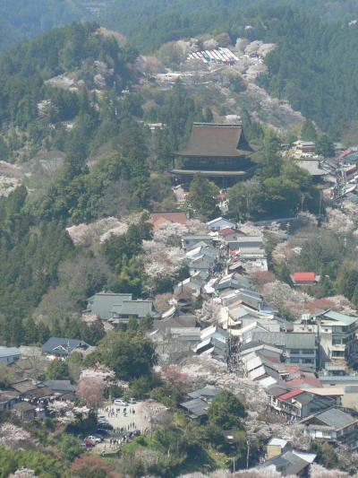 日本の旅　関西を歩く　奈良県吉野山の上千本、花矢倉周辺