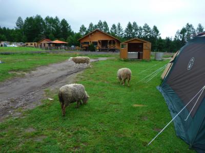 北海道キャンプの旅（富良野篇）2