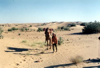 気がつけば、CAMEL SAFALI（キャメル・サファリ）　＜ひとこぶラクダの乗り心地＞