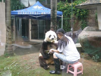 大阪の友人と福州熊猫世界