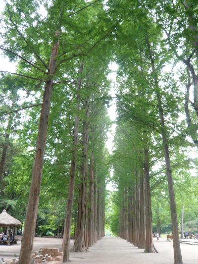 「冬のソナタ」ロケ地 『南怡島（ナミソム）』◆スヌーピーコミュ・オフ会 in ソウル【その３】