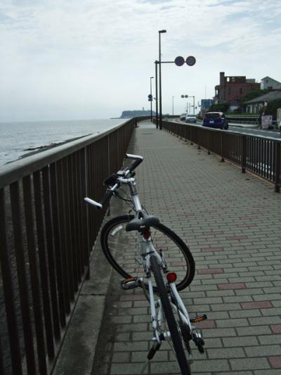自転車でウロウロ…=江ノ島～葉山・往復=