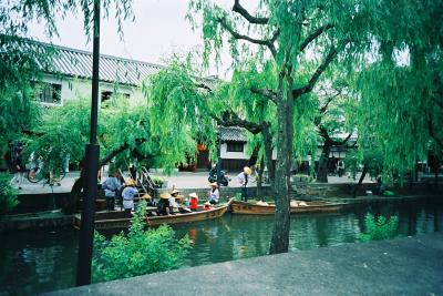 柳が映える倉敷川の風景/岡山・倉敷