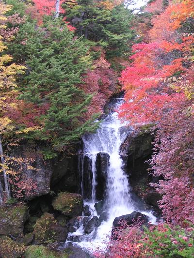 2008年　栃木県　紅葉の季節に滝めぐり　竜頭の滝～湯滝～華厳の滝
