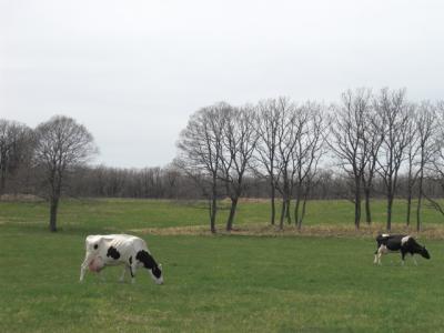 札幌でおなかいっぱい☆