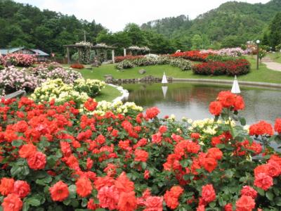 山形県村山市東沢バラ園