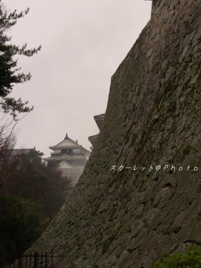 MATSUYAMAホリディ