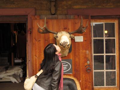 NORWAYモニター旅行記⑦4日目ベルゲン到着前編