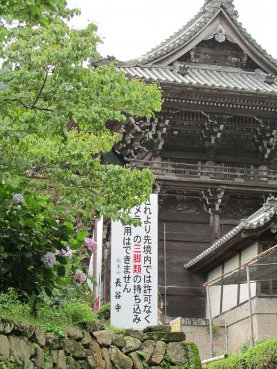 花の御寺　長谷寺のあじさい