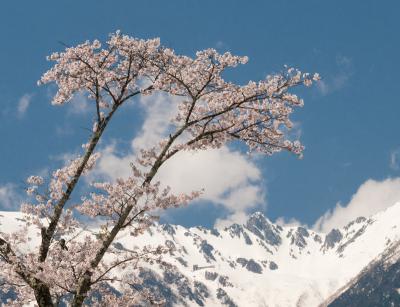 春の木曽駒ヶ岳