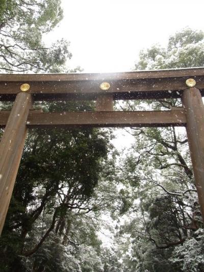 雪の明治神宮を散歩する。