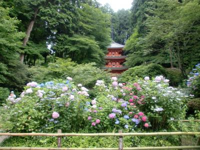 ★加茂の三塔巡り★