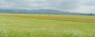 還暦旅42　センテンドレ