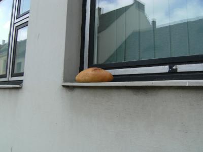 還暦旅46　ブダ城内散策