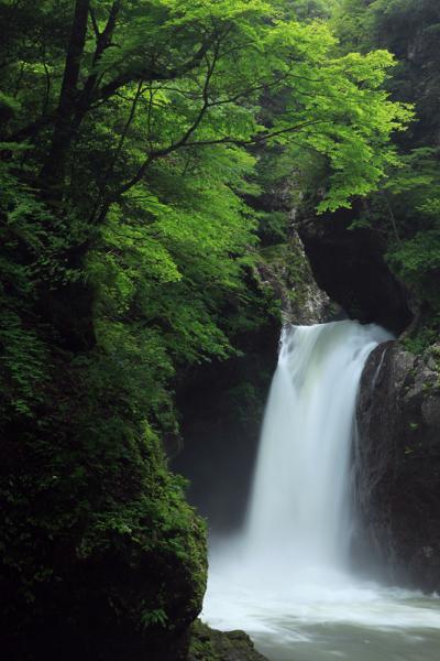 酷道一休さん（国道193号）を通って　『日本の滝百選』　大釜の滝へ　/徳島県那賀郡那賀町