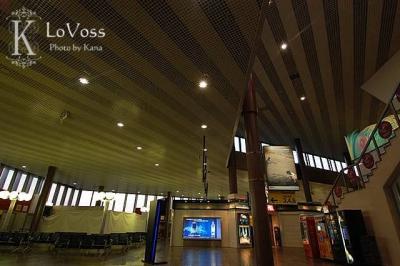 ロシア　モスクワ空港