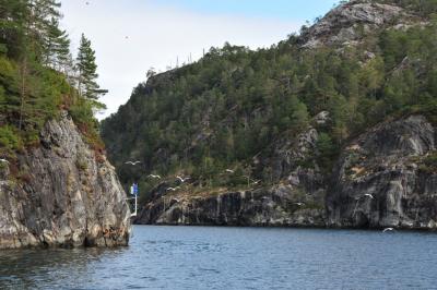 世界一周出張　　日帰りフィヨルドツアーに参加