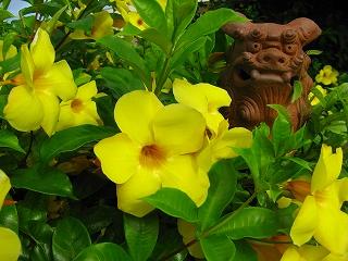 色とりどりの島巡り~宮古島篇①~