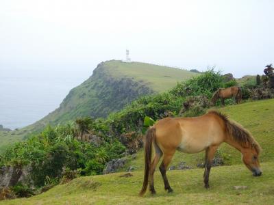 日本の果てまで行ってQるでぇ！与那国馬と海で果てを感じて編