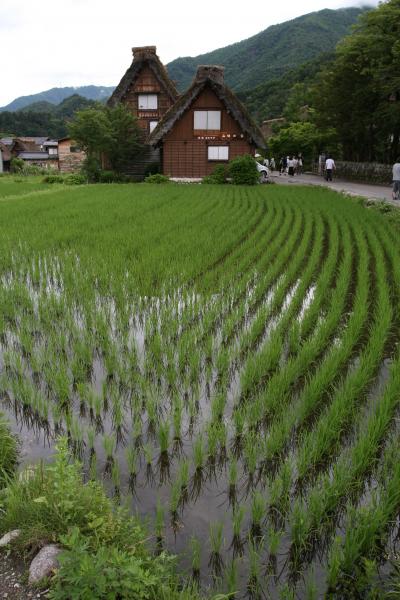 白川郷（＆ちょっぴり高山）の旅